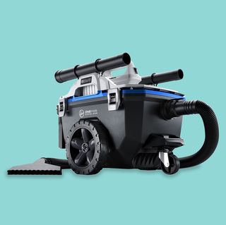7 best shop vacs of 2022, according to home improvement experts