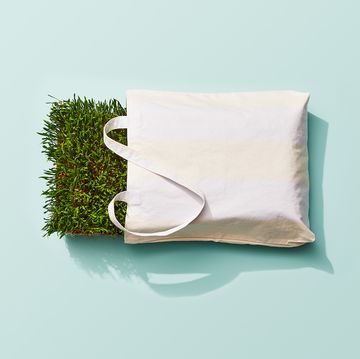 tote bag with grass visual metaphor for 'going green', sustainability, eco friendly