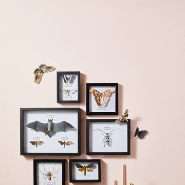 printables
