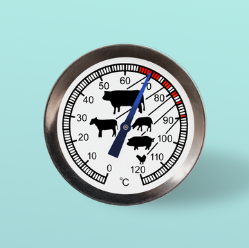 best meat thermometers