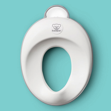 best potty training chairsseats