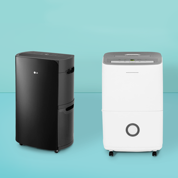 best dehumidifiers
