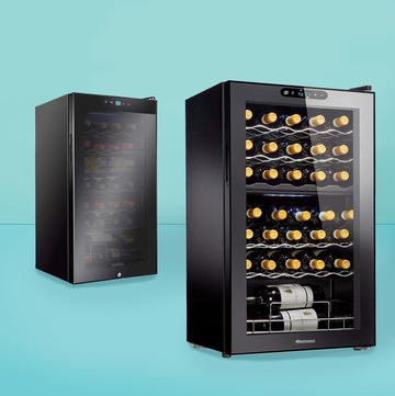10 best wine fridges and coolers of 2021, according to pros