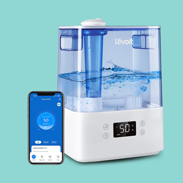 plant humidifiers