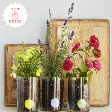 gifts for girlfriend
