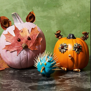 pumpkin faces pumpkin faces, woodland faced pumpkins, pink pumpkin with vampire teeth