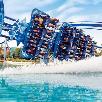 best things to do in orlando - seaworld orlando best things to do in orlando seaworld orlando
